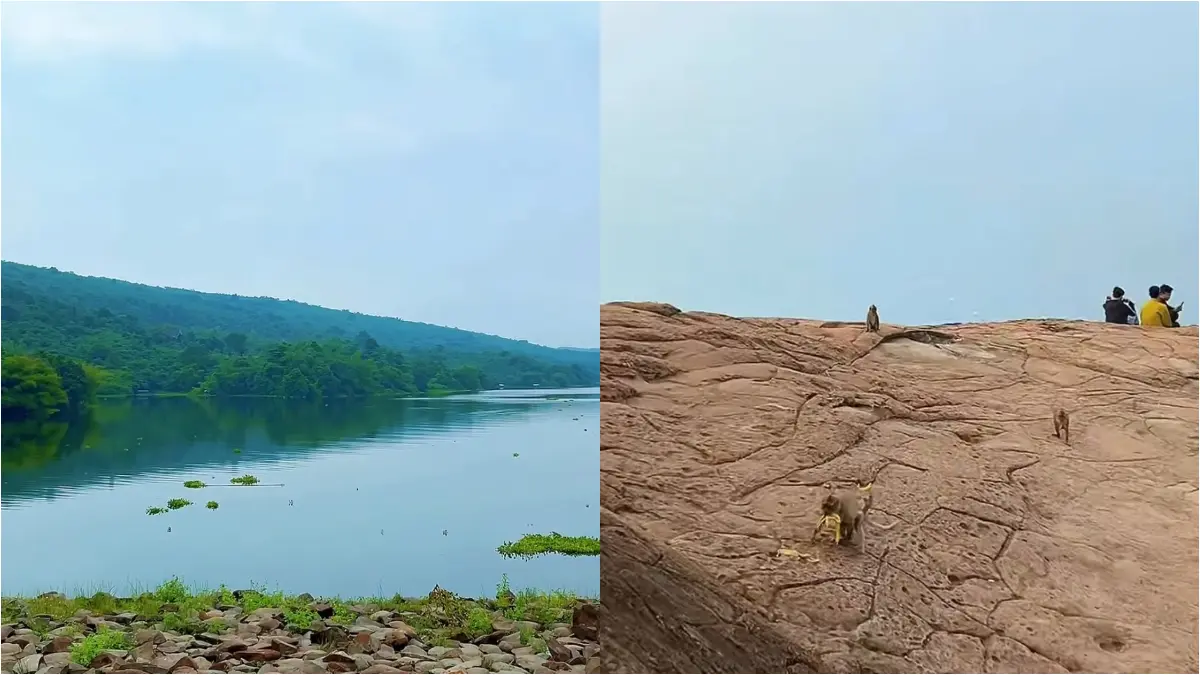 Spot keren dan hits di Purwakarta cocok untuk Healing. (Foto: Instagram @suprayogi.usep)