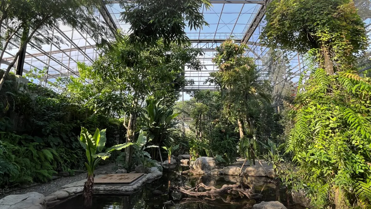 Animalium Cibinong, Bogor. Foto: Instagram