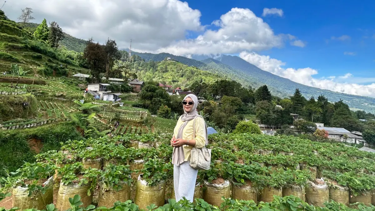 Kebun Strawberry Puncak Bogor. Foto: Instagram