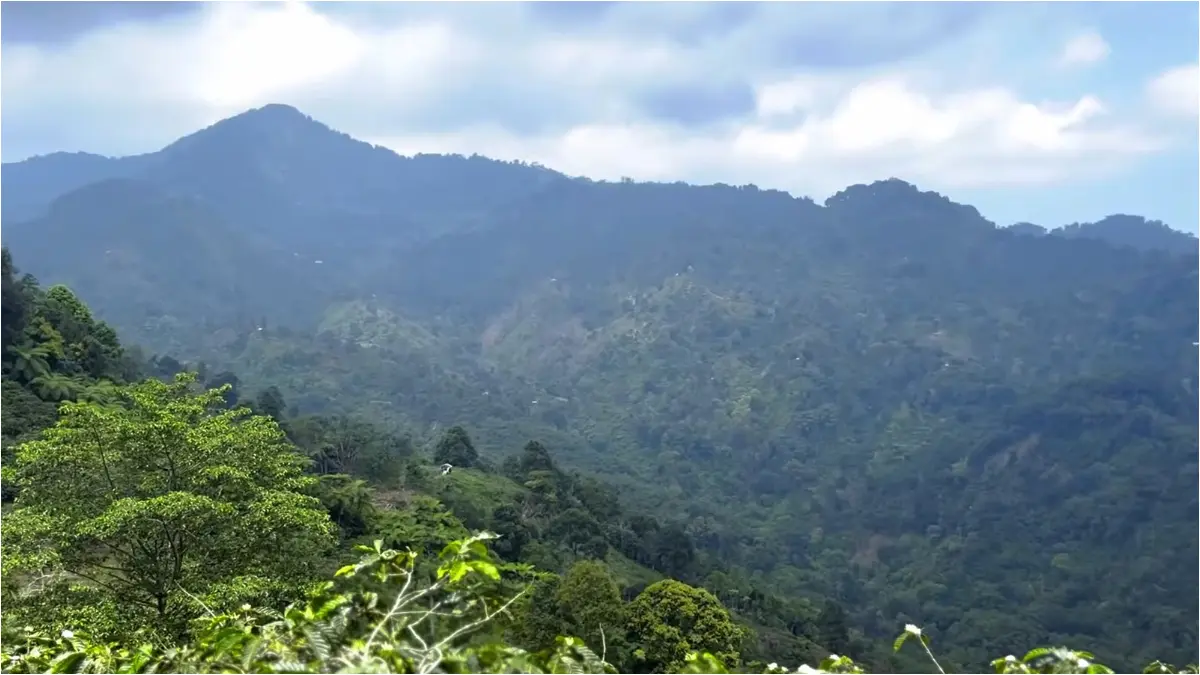 View dari Puncak Gunung Keramat Babakan Madang, Sentul, Bogor. (Foto: YouTube Opal Raufal)