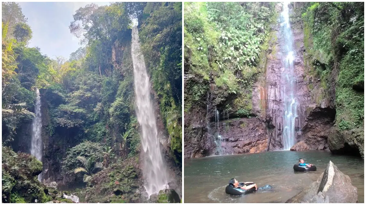 Curug Badak dan Batu Hanoman dengan keindahan alam yang memikat di balik rindangnya pohon pinus. (Foto : Google Maps Zufar Satria, Curugbadakbatuhanoman, dan SNz)