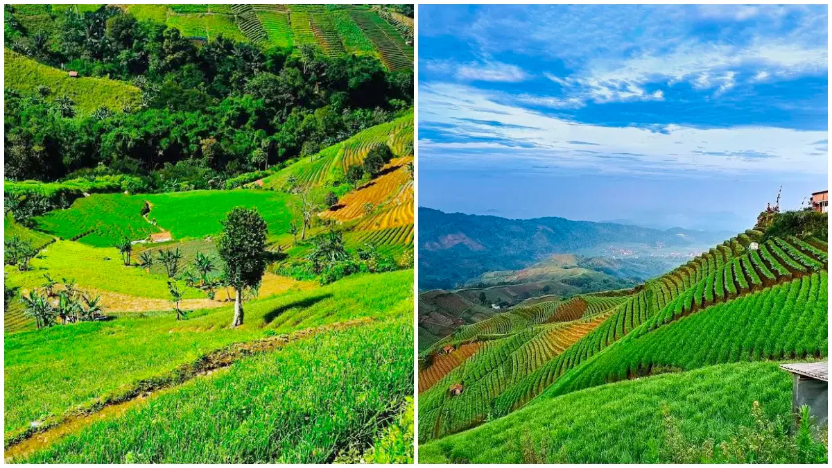 Pemandangan keindahan Terasering Panyaweuyan. (Foto: Google Maps Terasering Panyaweuyan, Azfar Fajar, dan Achmad)