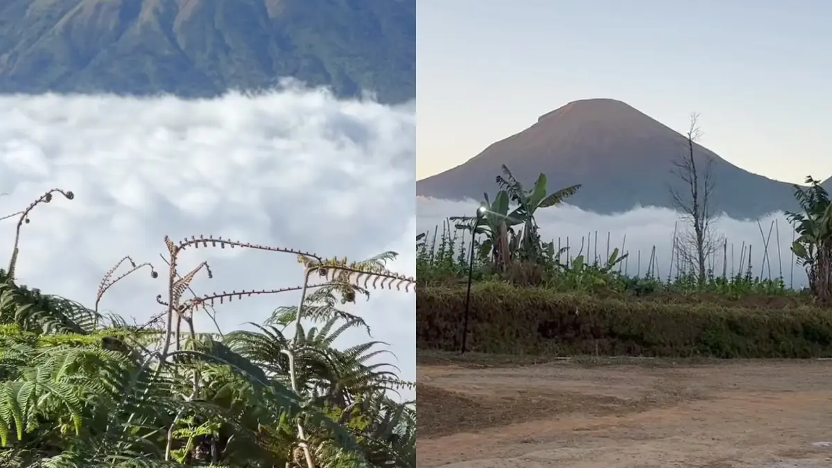 View trekking ke Puncak Gunung Seroja via Kahyangan Skyline. (Foto: Instagram @kangdolanwsb)