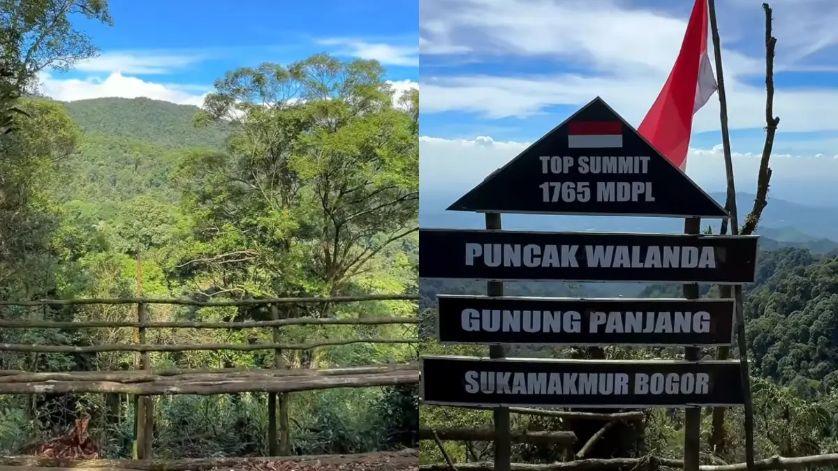 Puncak Walanda Sukamakmur Bogor. (Instagram @yudi_harfiannur) 