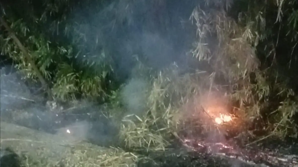 Kebakaran lahan terjadi di samping Jalan Raya Jakarta-Bogor, Sukaraja, Kabupaten Bogor. (Dok. Damkar Kabupaten Bogor)