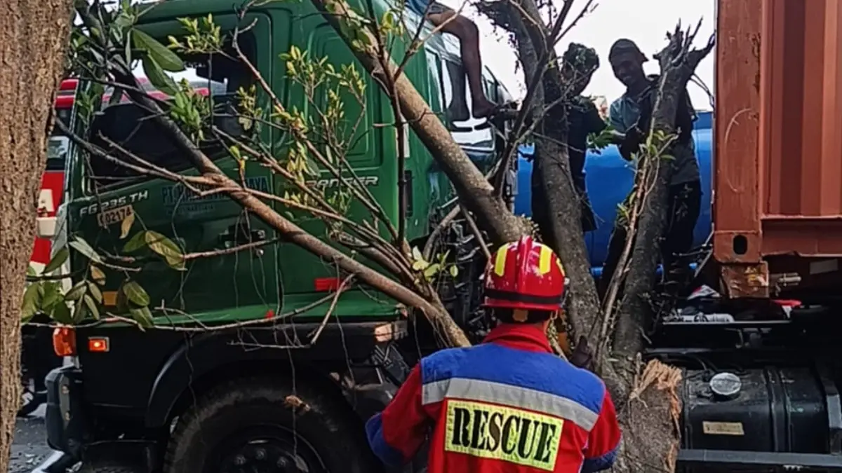 Tim Damkar Sektor Parung saat mengevakuasi pohon tumbang di Jalan Bogor - Parung, Desa Pondok Udik, Kemang, Kabupaten Bogor, Selasa 14 Juli 2026. (Dok. Damkar Kabupaten Bogor)