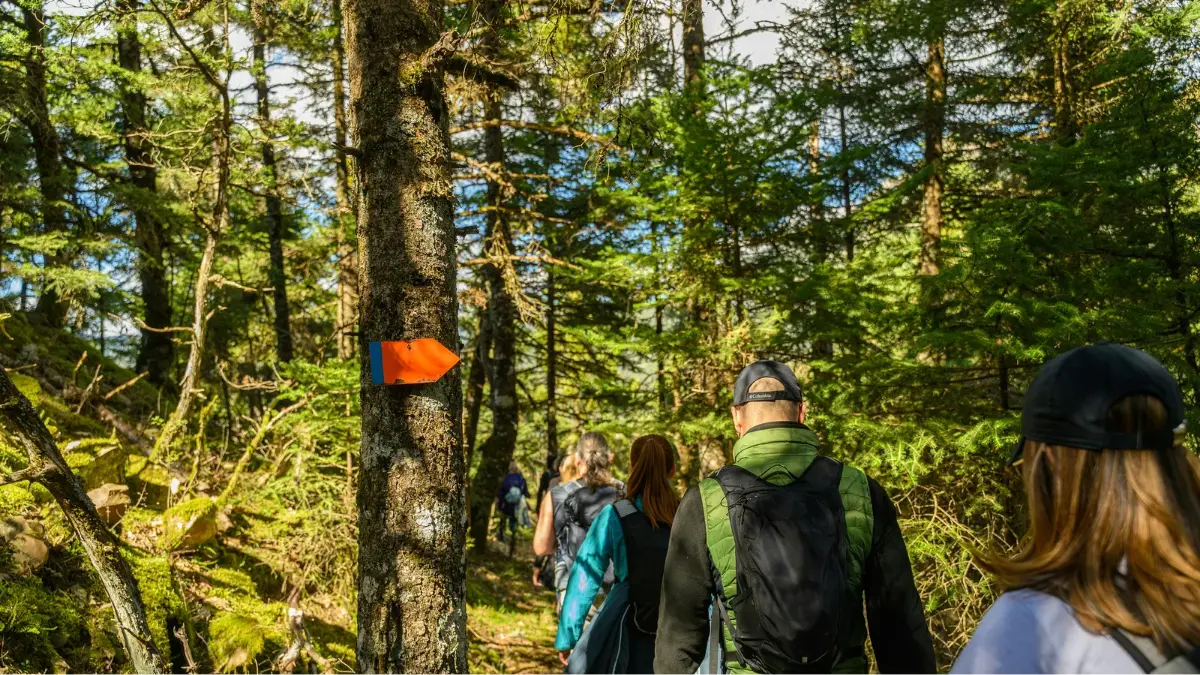 Ilustrasi kegiatan pendakian gunung. (Kostas Dimopoulos/Pexels)