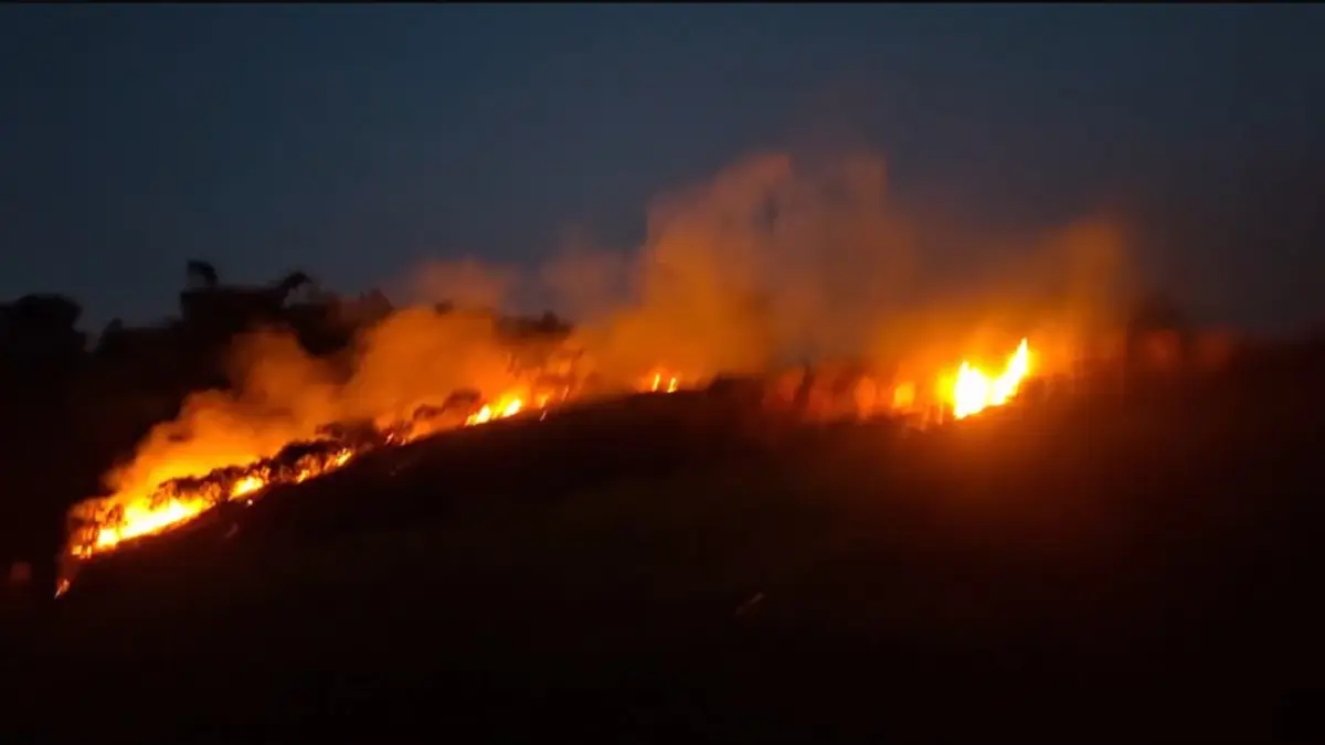 Kebakaran lahan di Gunung Wangun, Kota Bogor. (Dok. Damkar Kota Bogor)