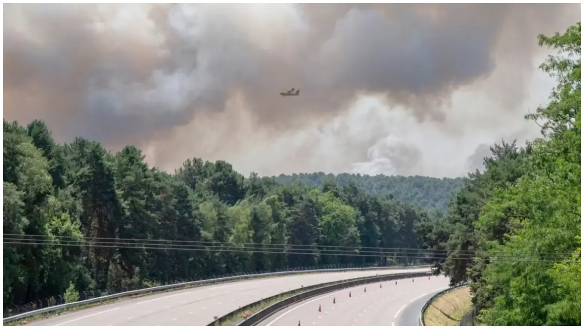 Kepulan asap tebal membumbung tinggi saat kebakaran hutan melanda kawasan&nbsp;Fontainebleau, Prancis&nbsp; (Foto: akun X @sandro_pozzi)