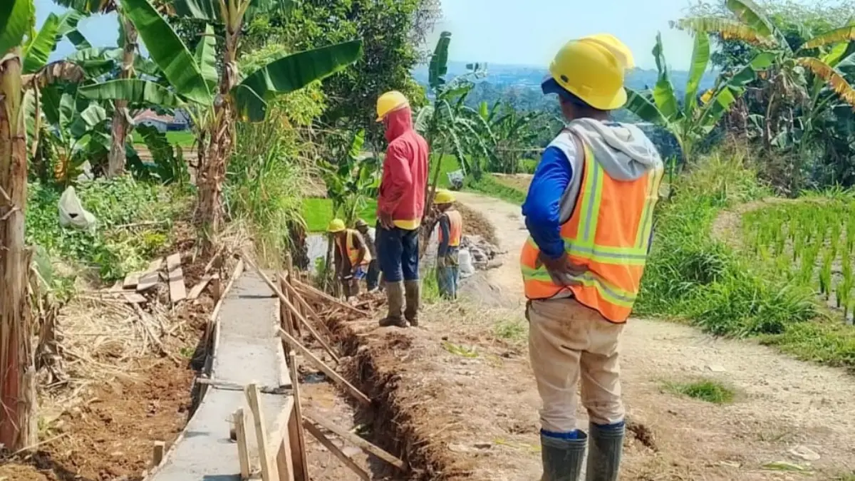 Desa Pancawati, Caringin menjadi salah satu wilayah di Kabupaten Bogor yang mendapat Program Percepatan Peningkatan Tata Guna Air Irigasi (P3-TGAI). (Dok. Poktan)
