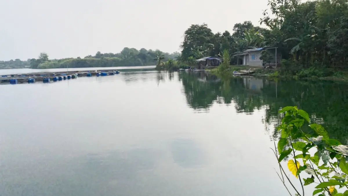 Pemandangan Danau di Desa Mampir, Kecamatan Cileungsi, Kabupaten Bogor. (Muhammad Ali/Radar Bogor)