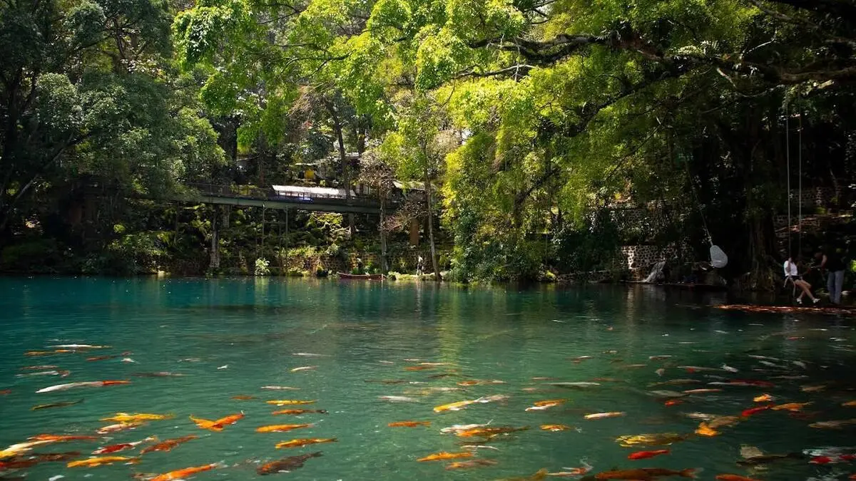Telaga Biru Cicerem, Kuningan. Foto: Gmaps/Ifan Arif Rahman, Hilman Hilman, Flexys