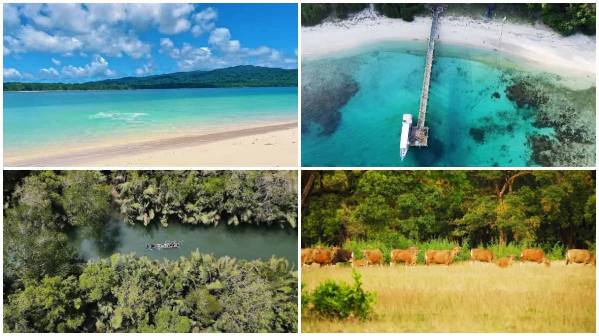 Rekomendasi Wisata Taman Nasional Ujung Kulon. (Foto: Google maps droneserang id, Musin Yohan, laman tnujungkulon.ksdae.kehutanan.go.id)