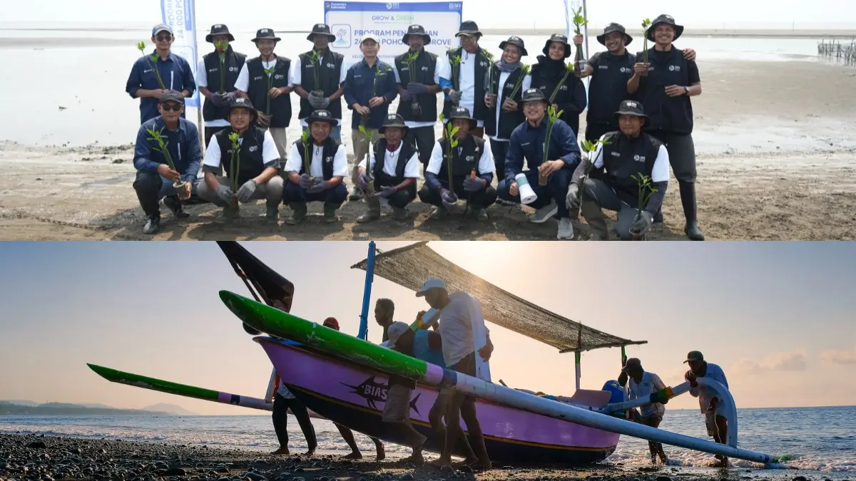 Pada Hari Mangrove Sedunia 2026  BRI Peduli melibatkan kelompok tani lokal menanam 24.000 mangrove.(Dok. BRI)