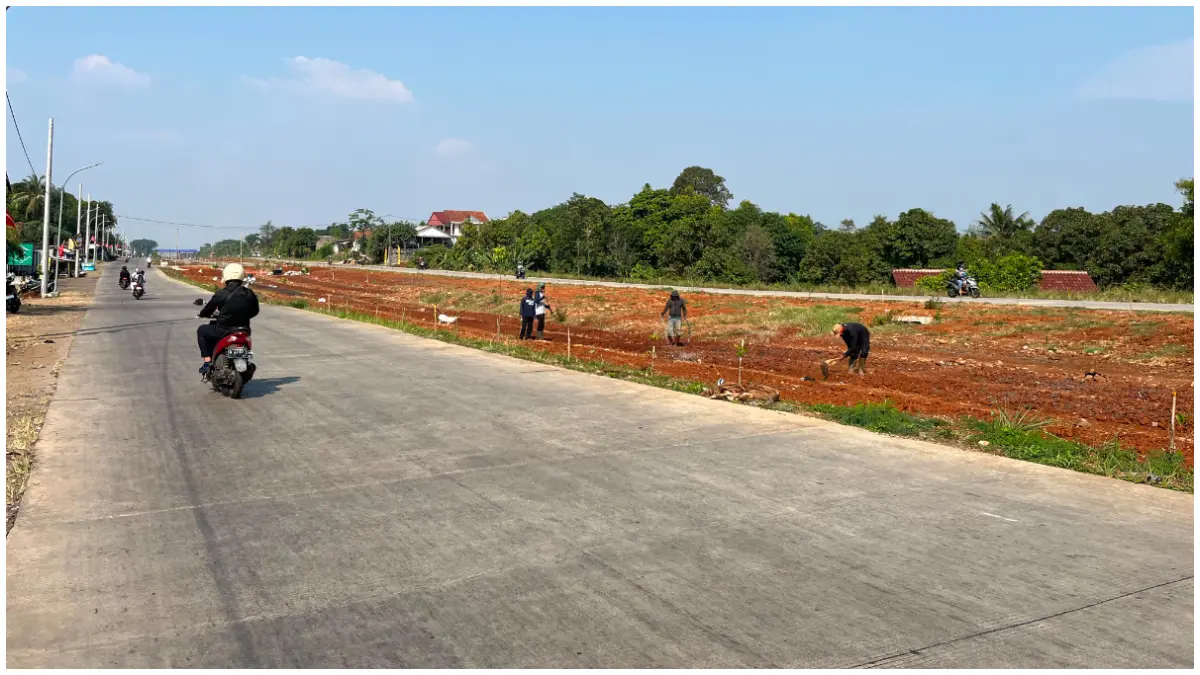 Petani tengah menggarap lahan di koridor Jalan Bomang . Berbagai program pertanian terpadu akan terintegrasi di jalan tersebut. (Foto ; Septi Nulawam/Radar Bogor)