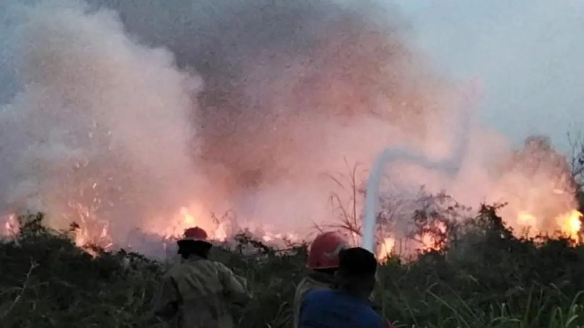 Petugas pemadam kebakaran saat memadamkan api yang menghanguskan alang-alang di Kecamatan Cileungsi, Kabupaten Bogor. (Dok. Damkar Kabupaten Bogor)