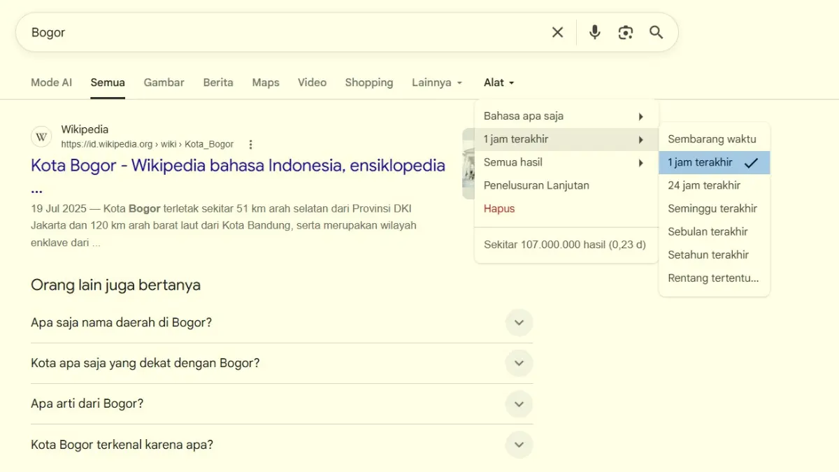 Google Search sedang mangalami error.