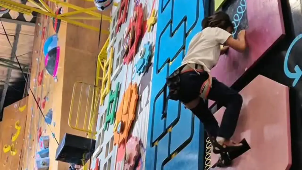 Cobain olahraga wall climbing di Boulder Climbing Gym yang ada di Boxies 123 Mall. Foto: Instagram