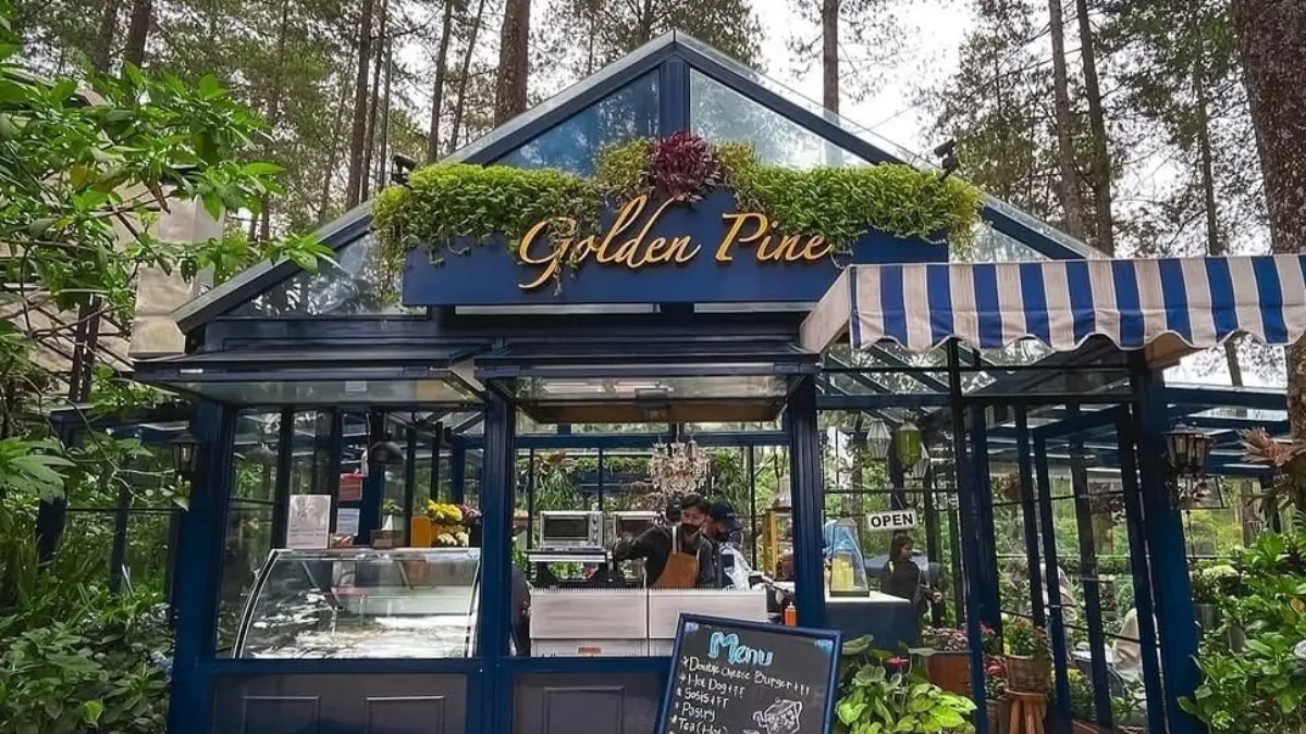Golde Pine di Hutan Pinus Cikole. Foto: Instagram