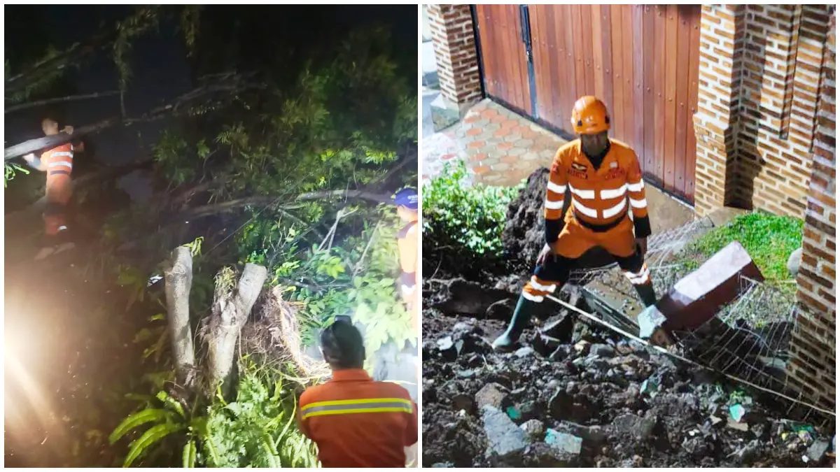 Penanganan tanah longsor di Kelurahan Semplak dan pohon tumbang di Kelurahan Menteng, Kecamatan Bogor Barat, Kota Bogor. (Foto: BPBD for Radar Bogor)