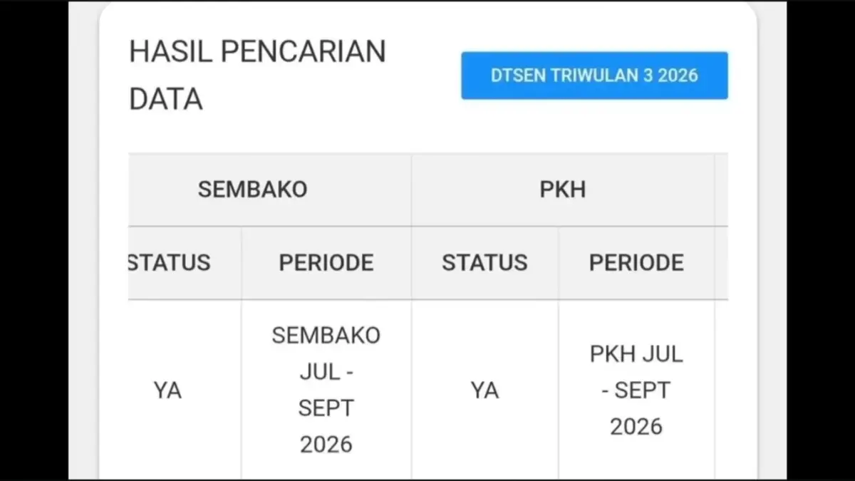 Status bantuan di website cek bansos (YouTube Arfan Saputra Channel)