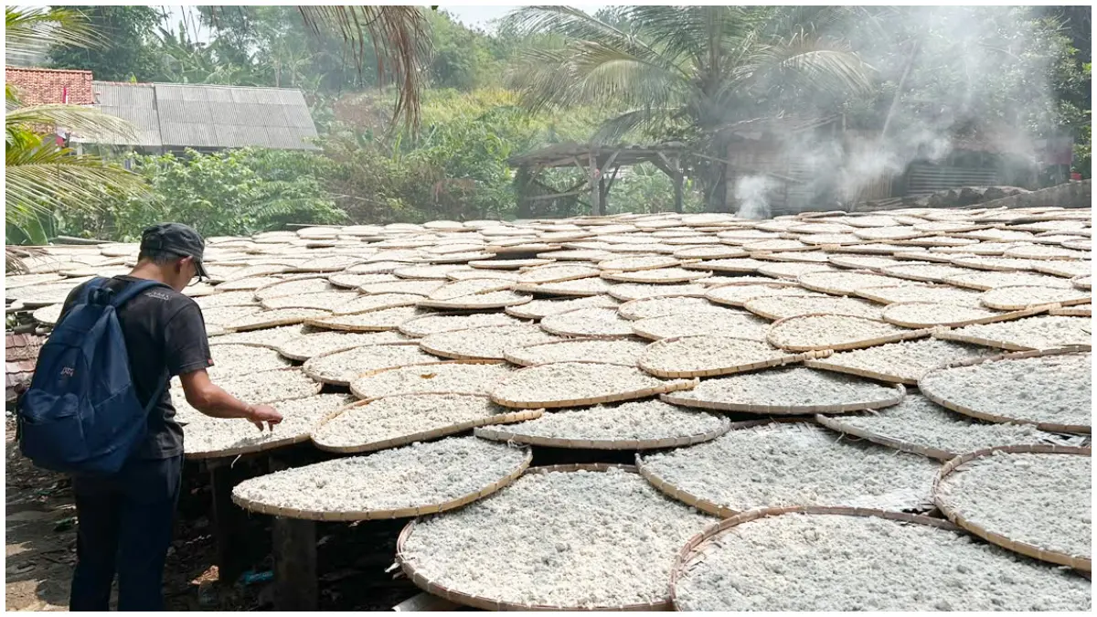 Hamparan sagu yang tengah di jemur di Kampung Slawi, Kelurahan Tanah Baru, Kota Bogor. (Foto : Fauzan/Radar Bogor)