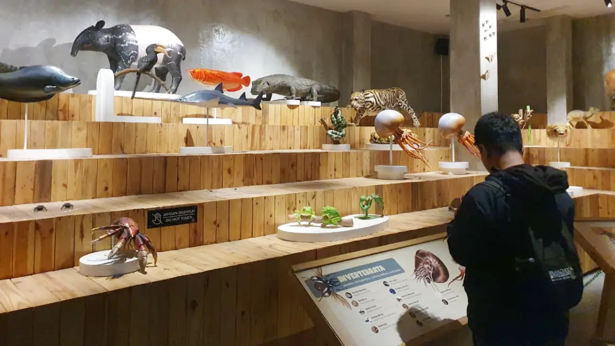 Pengunjung saat berada Animalium Badan Riset dan Inovasi Nasional (BRIN). (Billy/Radar Bogor)