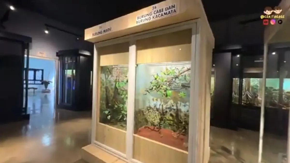 Museum Zoologi, salah satu wisata di Bogor. (YouTube Cerita Gage)