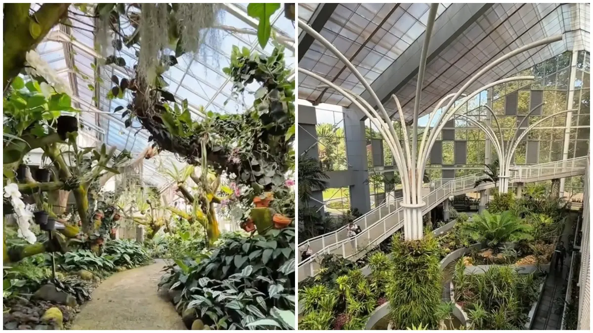 Rekomendasi spot favorit di Kebun Raya Bogor. (Foto: tangkapan layar tiktok @natanlagi)