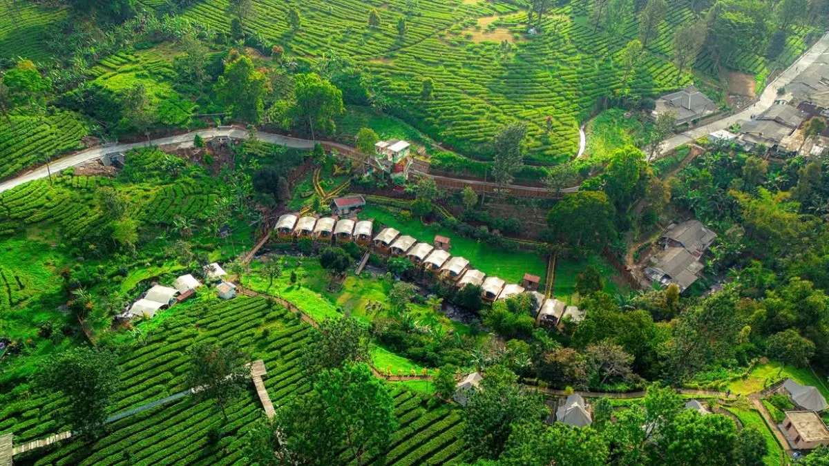 Gunung Mas, wisata di Puncak, Bogor. (Instagram @gunungmaspuncak)