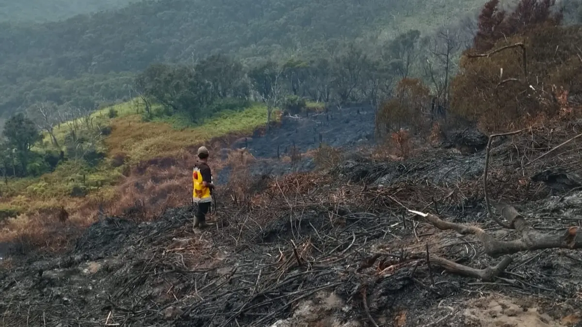 Relawan turut serta dalam penanganan kebakaran di Taman Nasional Gunung Gede Pangrango (TNGGP). (Dok. Relawan RIMBA)