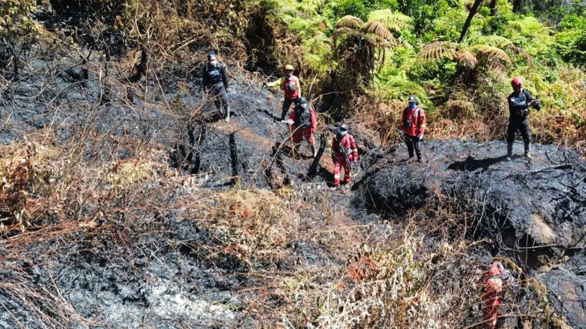 Relawan turut serta dalam penanganan kebakaran di Taman Nasional Gunung Gede Pangrango (TNGGP). (Dok. Relawan RIMBA)
