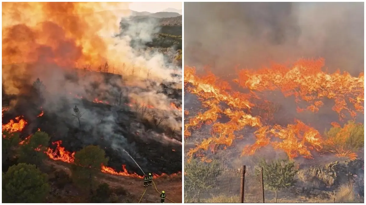 Salah satu titik kebakaran hutan di Los Gallardos, Almería, Spanyol. (Foto : EFE/Carlos barba)