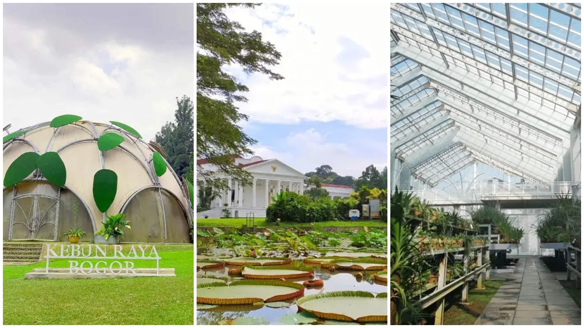 Beberapa spot menarik di Kebon Raya Bogor. (Foto: Pinterest dan Istock photo) 