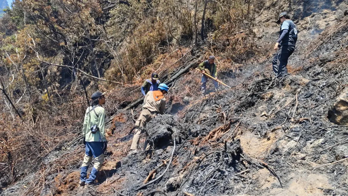 Kondisi terkini saat para relawan bergotong royong dalam pengendalian kebakaran di Kawah Wedon, Taman Nasional Gunung Gede Pangrango (TNGGP), Kamis, 13 Agustus 2026. (Dok. Balai Besar TNGGP)