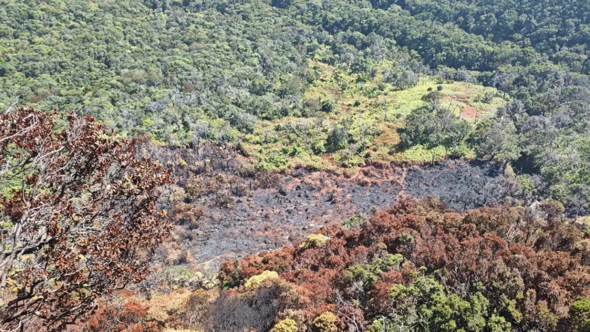 Kondisi Kawah Wadon Gunung Gede sebelum di guyur hujan, Minggu, 16 Agustus 2026. Foto: Balai Besar TNGGP for Radar Bogor