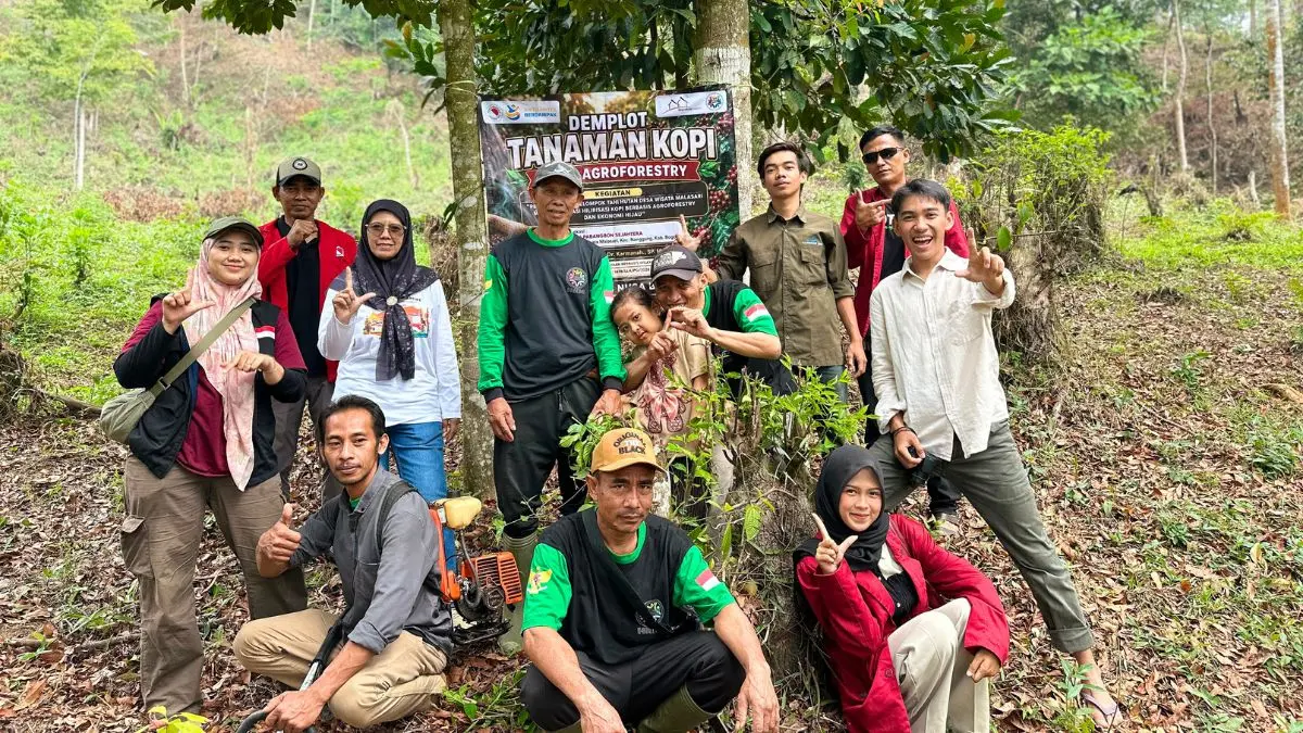 Kegiatan penanaman 500 bibit kopi arabika di area lahan kelola KTH Pabangbon Sejahtera bersama Tim PKM UNB.