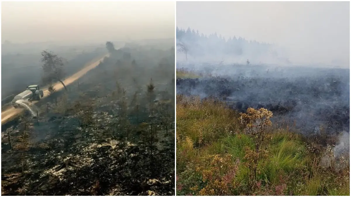 Kondis kebakaran hutan terbesar dalam sejarah Belgia. (Foto: aljazeera.com, Laurent Cavenati/Belga/AFP, Christoph Reichwein/dpa/picture alliance)