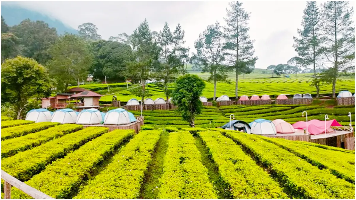 Nuansa Riung gunung Pangelangan Kabupaten Bandung. (Foto: google)