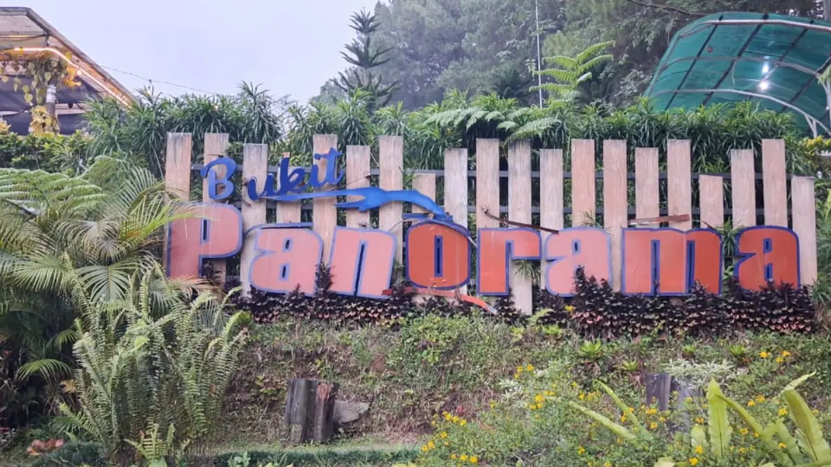 Keindahan Bukit Panorama Kopi dari Hati di Desa Sukajadi, Kecamatan Tamansari, Kabupaten Bogor. (Muhammad Ali/Radar Bogor)