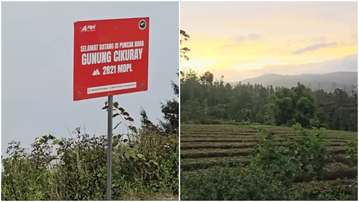 Suasana dan ketinggian Gunung Cikuray Garut. (Foto: tiktok @fije.kakar)