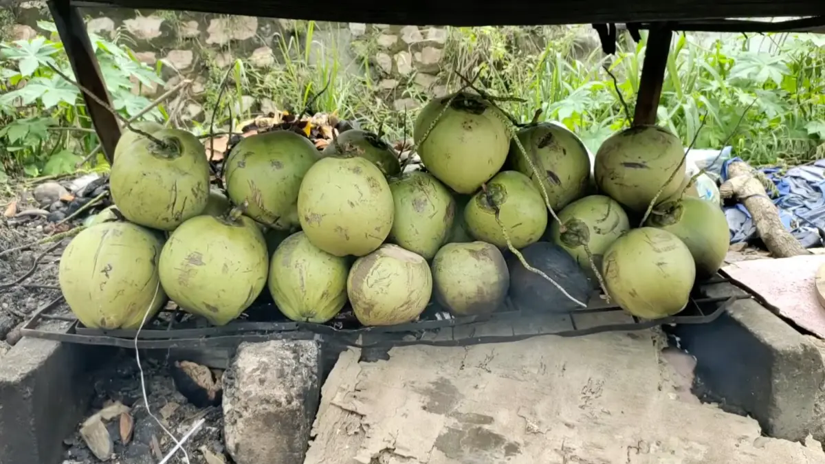 Ilustrasi. Kelapa bakar yang dijadikan minuman unik dan salah satunya bisa ditemukan di Bogor. Foto: YouTube Daily Licious