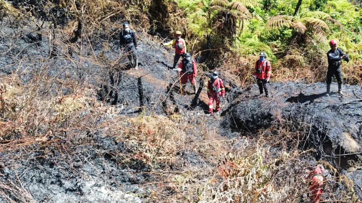 Ilustrasi: Kebakaran di kawasan Gunung Gede Pangrango beberapa waktu lalu. (Dok. Relawan)