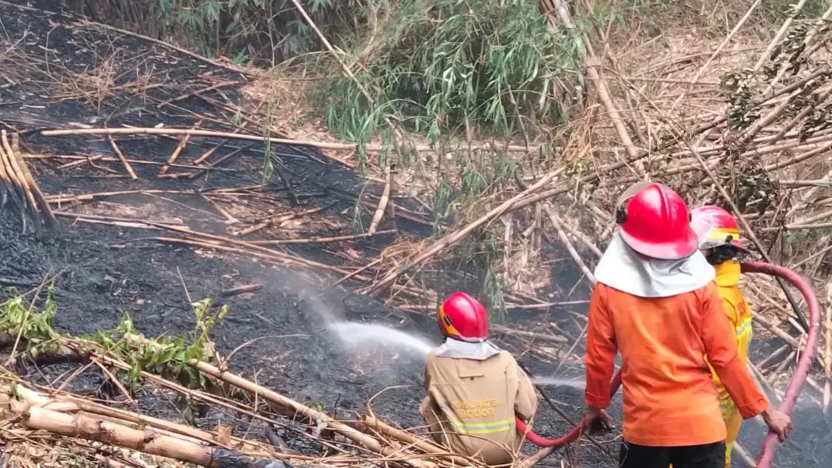 Tim TRC BPBD Kabupaten Bogor saat melakukan pemadaman lahan yang kebakaran di Desa Tajur, Kecamatan Citeureup, Kabupaten Bogor. (BPBD Kabupaten Bogor)