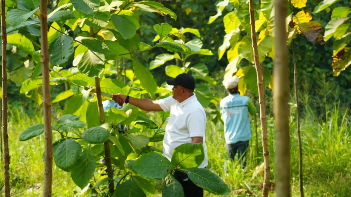 Bupati Bogor Rudy Susmanto saat berada di kawasan hutan kota.