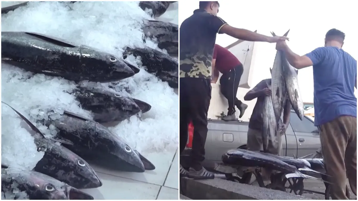Hasil tangkapan ikan berkurang yang dilakukan oleh nelayan warga Iran dan harga pun naik selama sengketa mengenai Selat Hormuz belum terselesaikan. (Foto: Kanal Youtube @AlJazeeraEnglish)