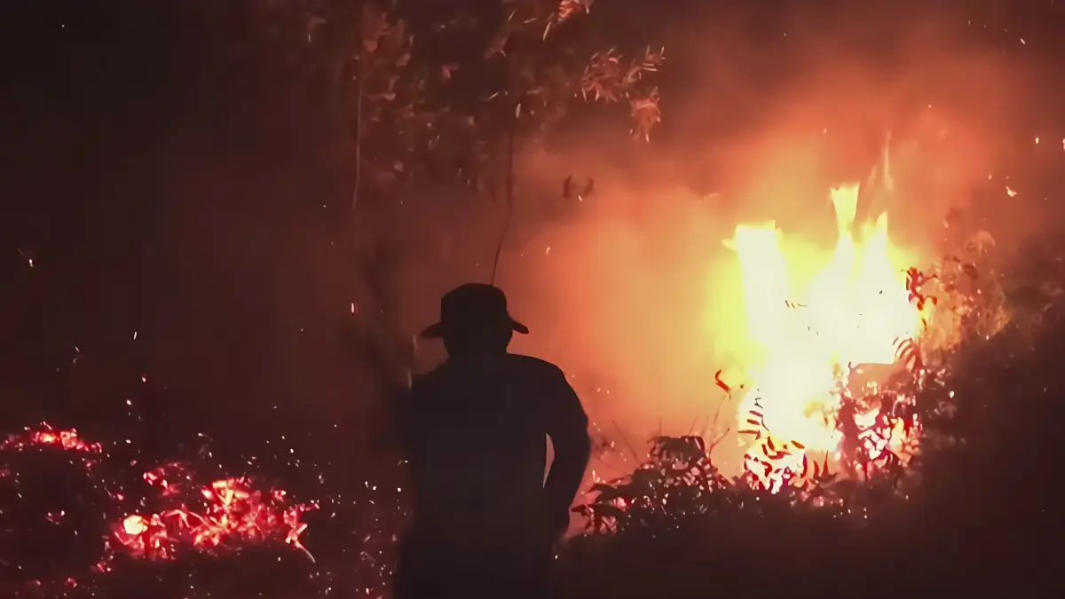 Petugas sedang memadamkan Karhutla di kawasan Kalimantan.