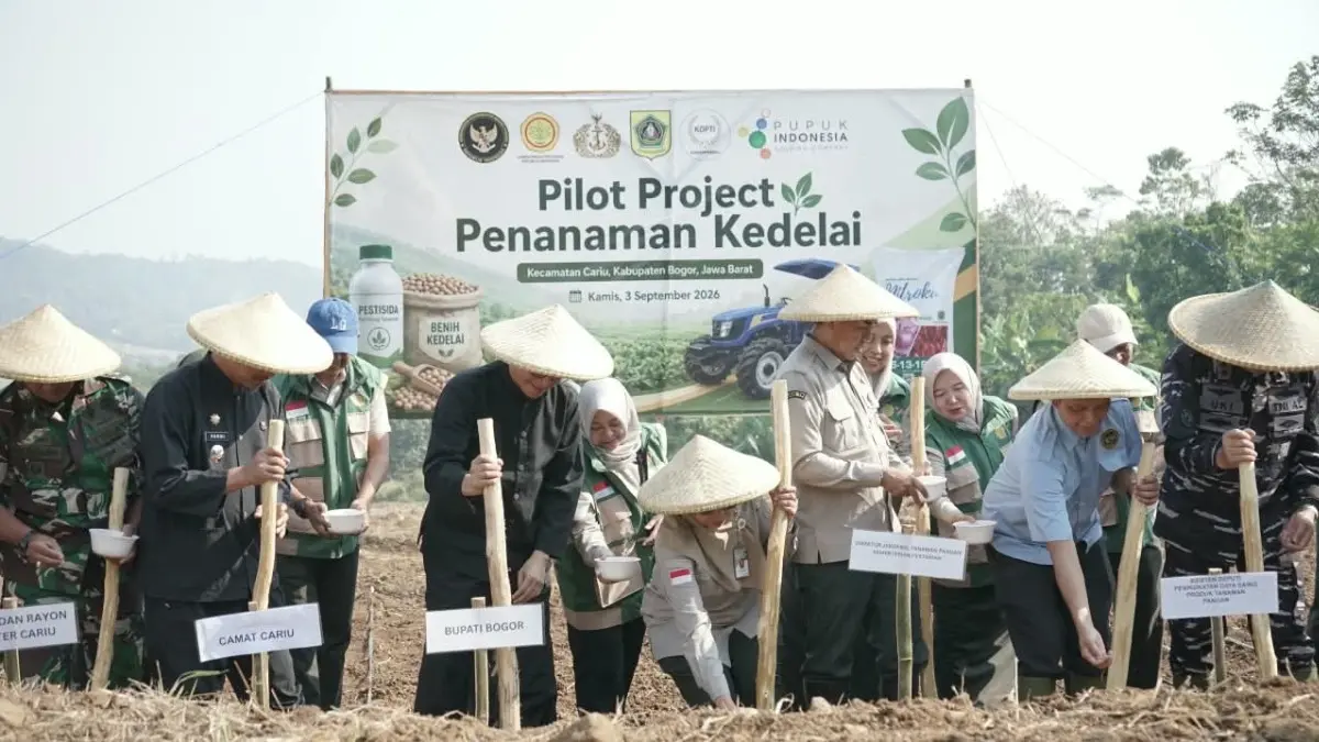 Pilot Project Penanaman Kedelai di Kecamatan Cariu, Kabupaten Bogor, Kamis, 3 September 2026. (Dok. Distanhorbun Kabupaten Bogor)