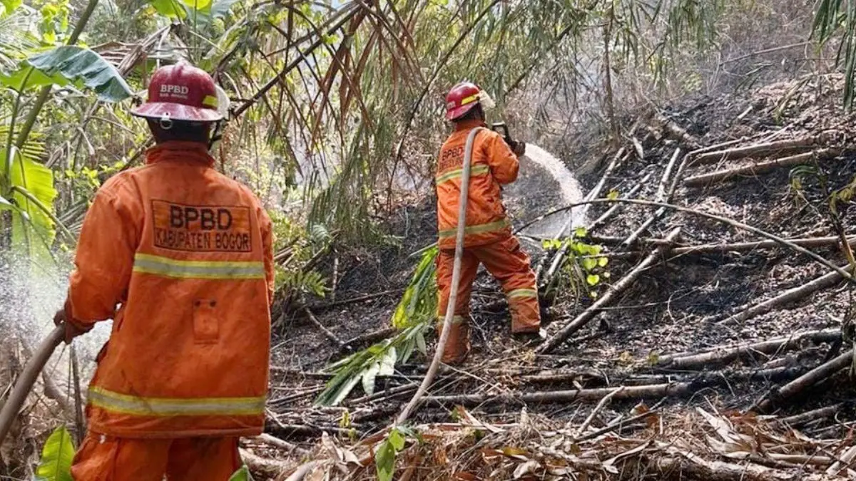 Tim BPBD Kabupaten Bogor saat melakukan pemadaman lahan yang kebakaran di Desa Sukanegara, Kecamatan Jonggol, Kabupaten Bogor, Kamis, 3 September 2026. (Dok. BPBD Kabupaten Bogor)