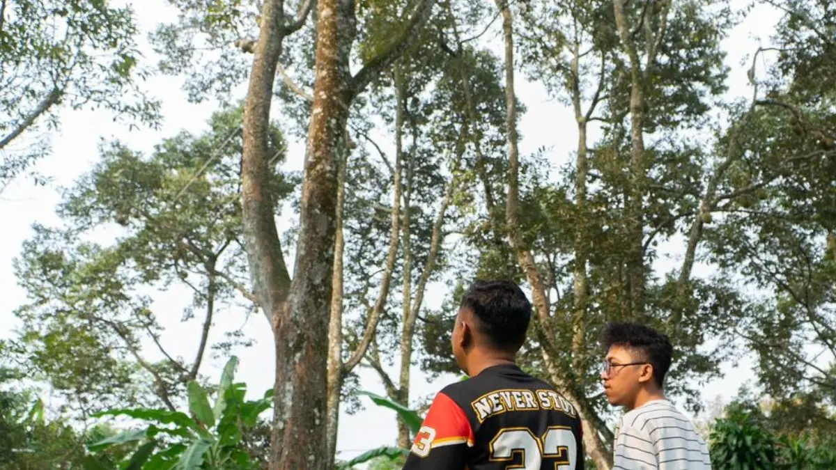 Pohon durian di Kota Bogor tumbuh dengan subur. (Dzikry/Radar Bogor)